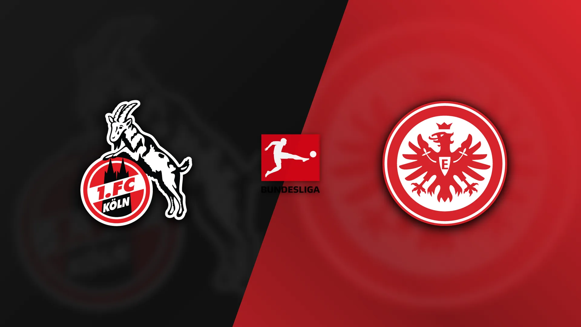 FC Cologne vs Eintracht Frankfurt